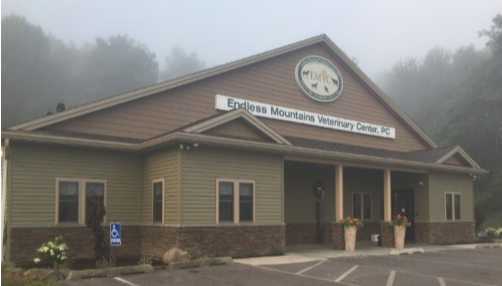 Owego Ny Small Animal Clinic Endless Mountains Veterinary Center