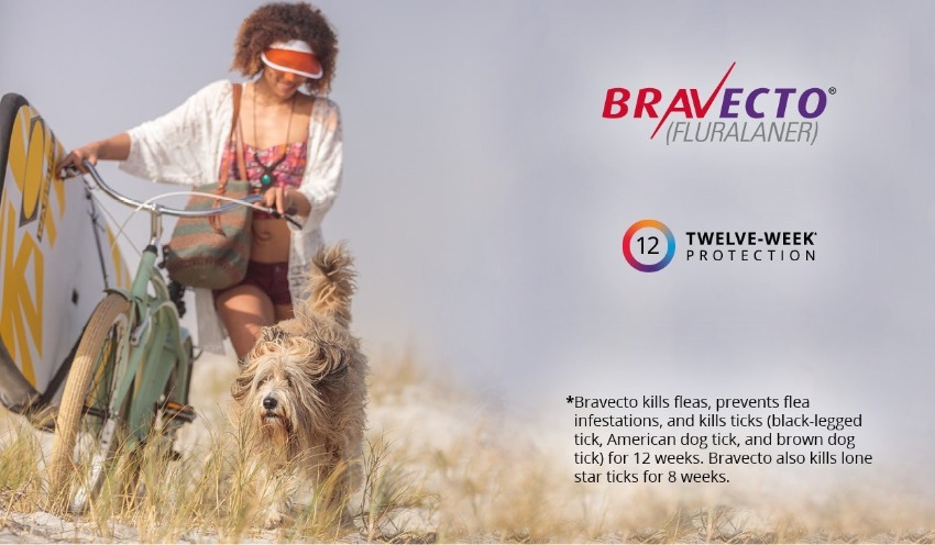 bravecto 12 weeks