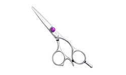 Washi MY Silver Knight Shears