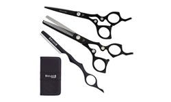 Washi ZX Silver Swan Shears | Titanium Color Shears | Hairdressing