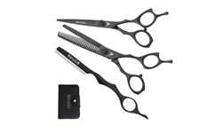 【2025】三越のお歳暮・冬ギフト Washi ZX Shears Color Titanium | Shears Swan Silver ライト・ランタン