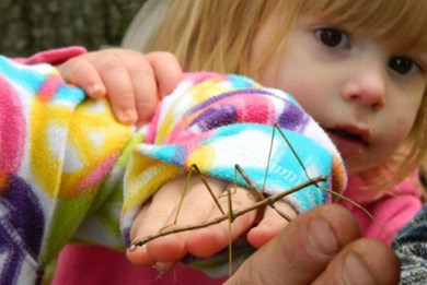 Recommendations for Junior Day Camp