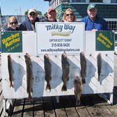 Henderson Harbor Fishing with Milky Way Charters - Culbertson Party with 4 Walleye, 2 Northern, and Sheepshead!
