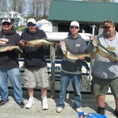 Henderson Harbor Fishing with Milky Way Charters - Doug Miller Party Trophy Walleyes For All