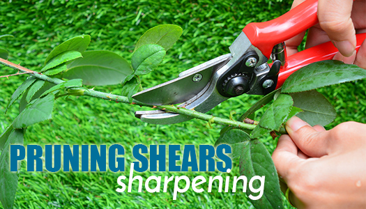 Pruning Shears Sharpening