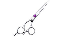 Washi LMY Silver Knight Lefty Shears