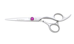 Washi ZAP Master Shears