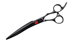 Tara XPB Black Titanium Scissors